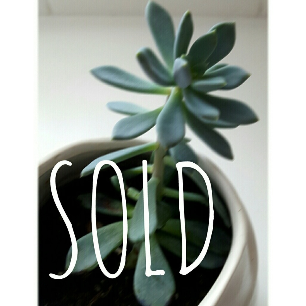 Sold